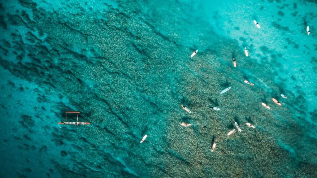 Coral bay
