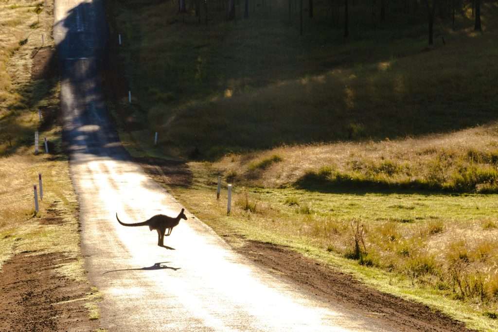 Western Australia