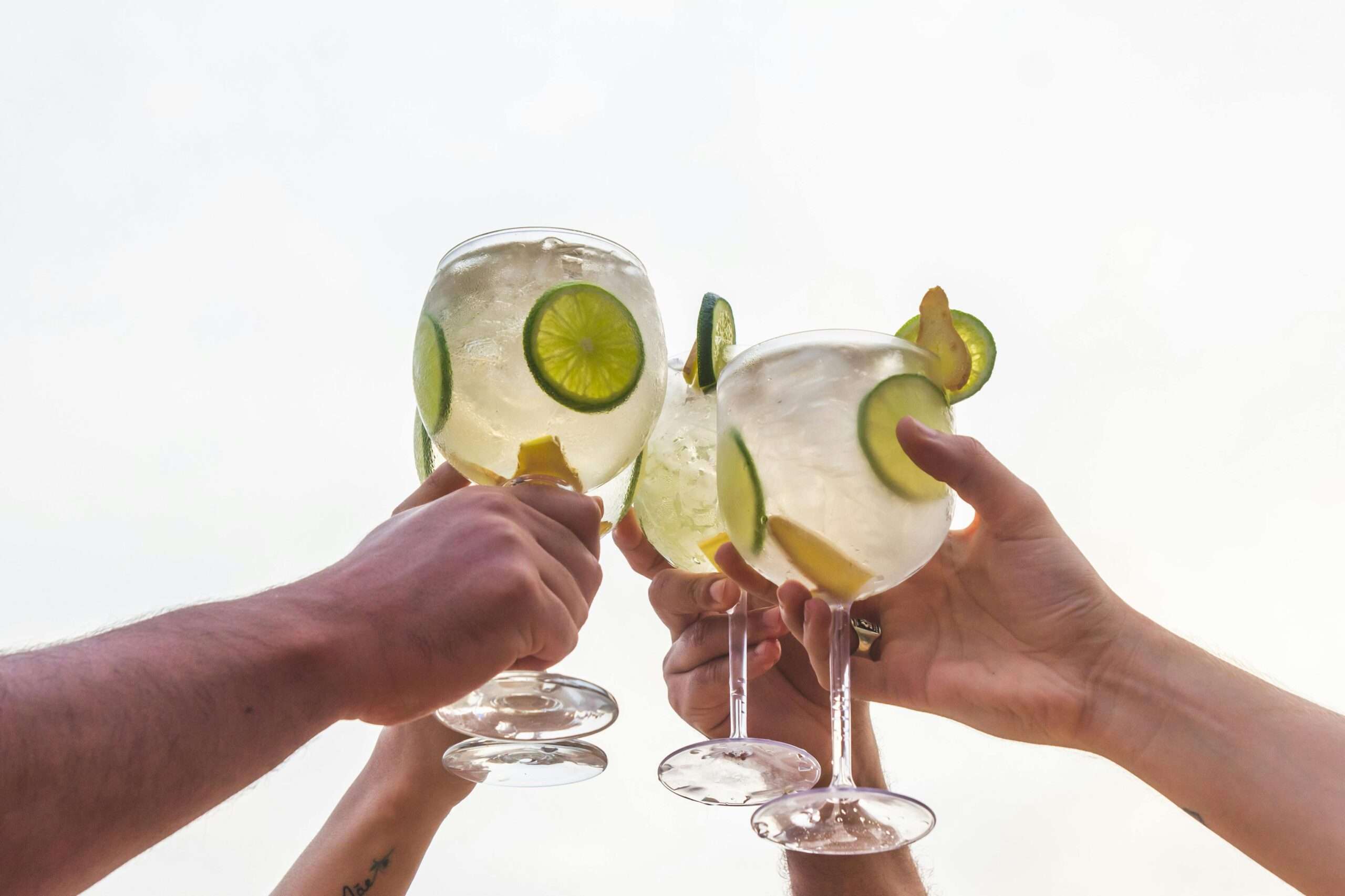 St. Kilda Gin Festival 2024