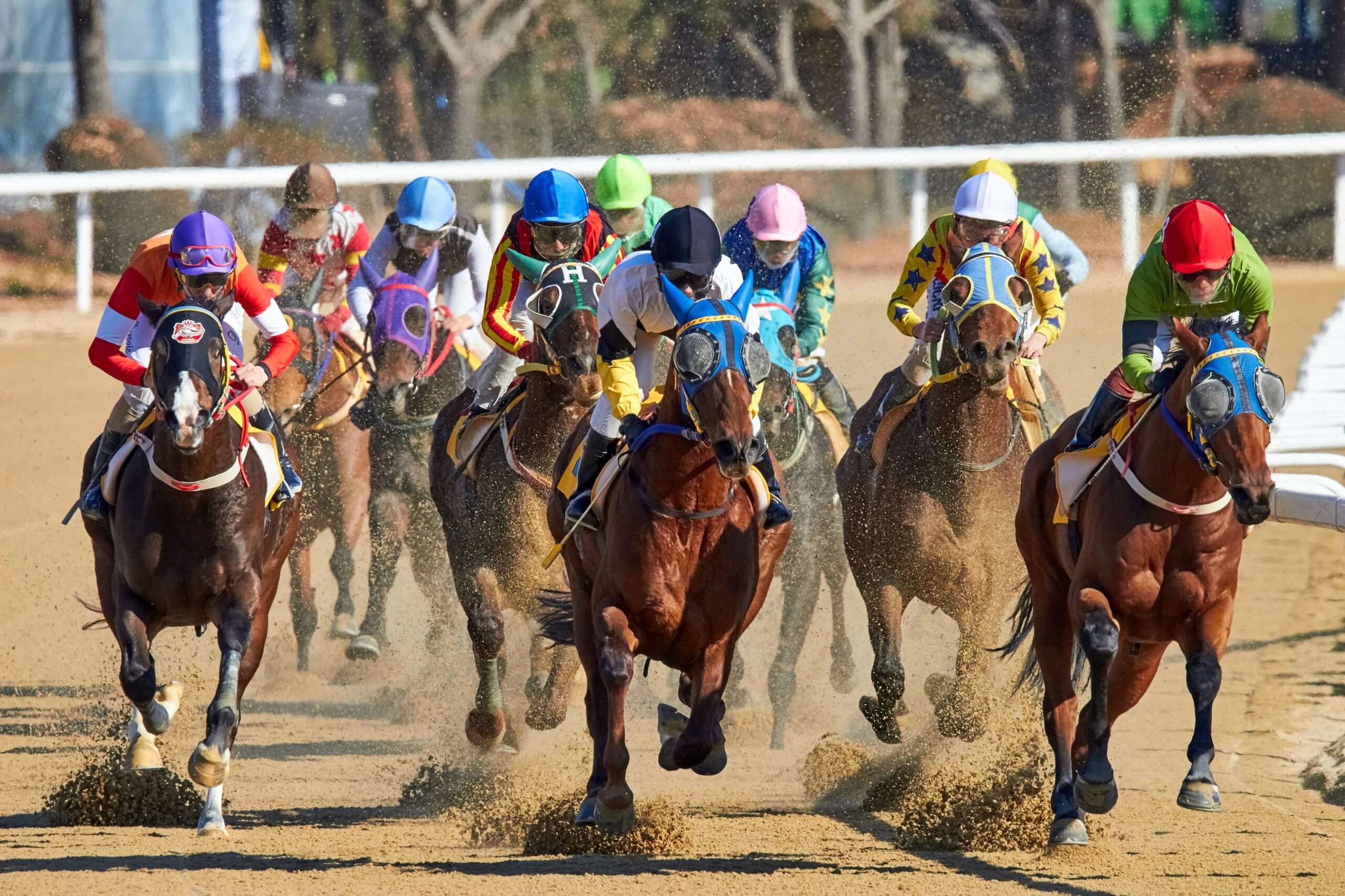 Cairns Amateurs Carnival 2024