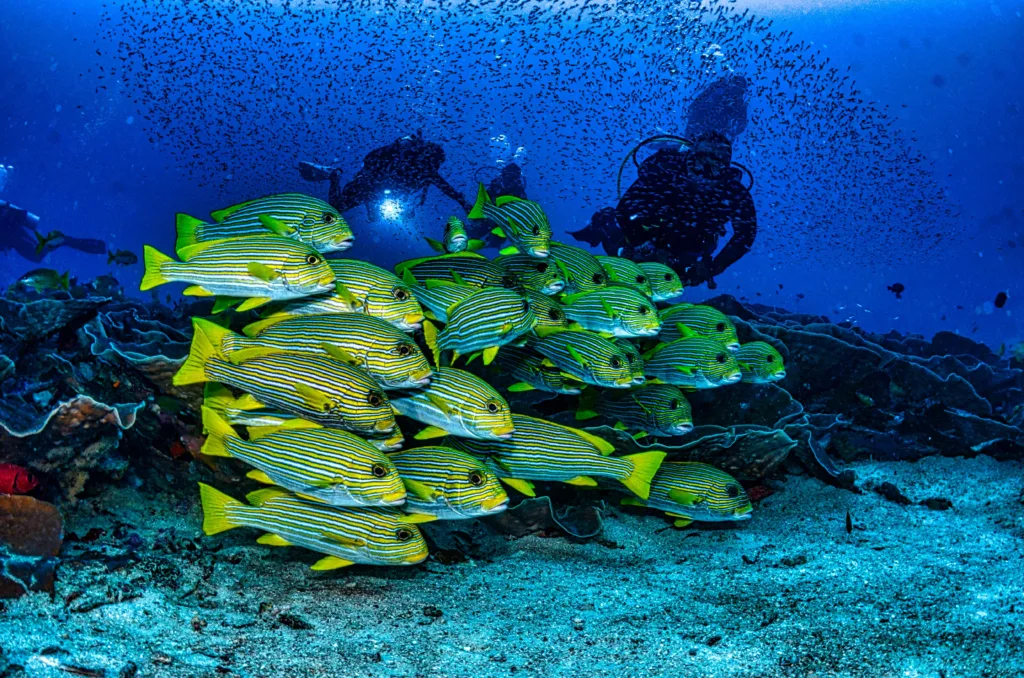 Raja Ampat, Indonesia