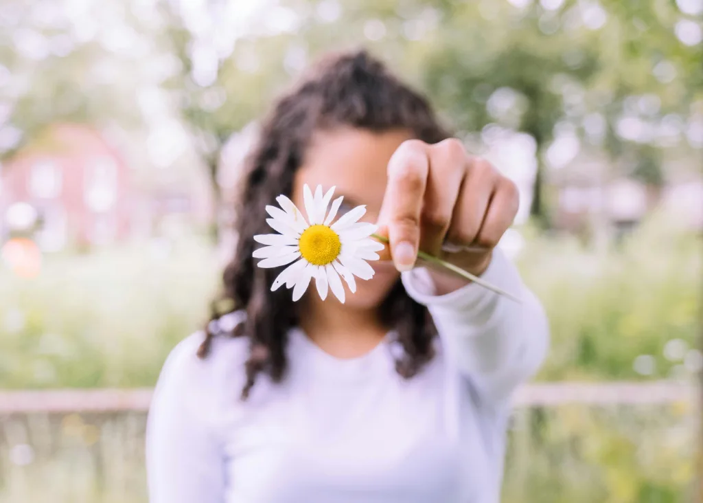 daisy flower