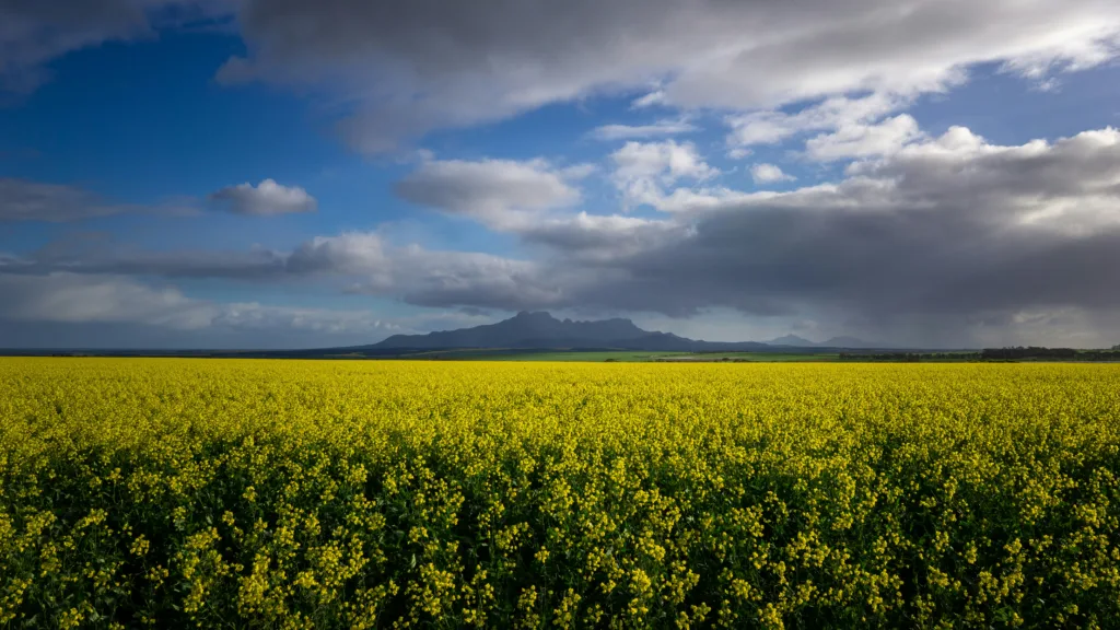 stirling range national park