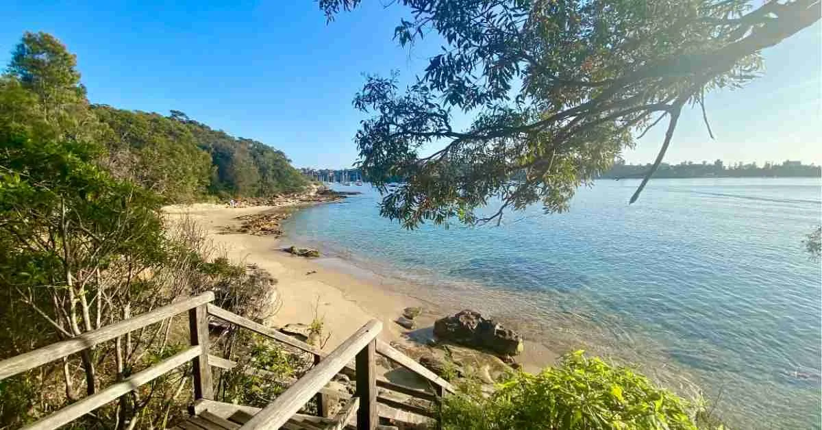 Bondi to Manly is the best walk in Sydney