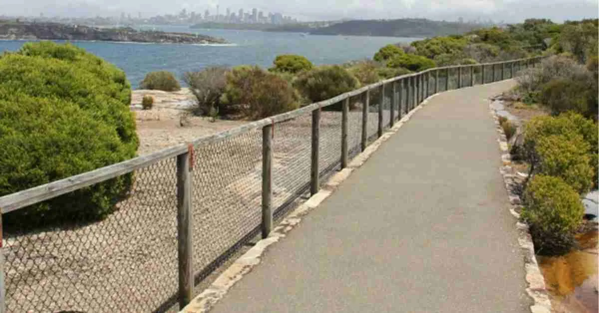 Fairfax best walks in sydney