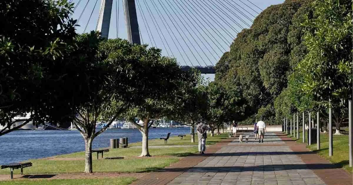 Glebe Foreshore Walk 