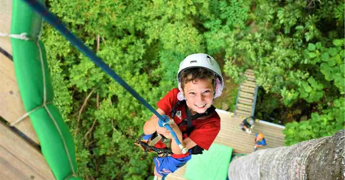 Wild Ropes Treetops Adventure