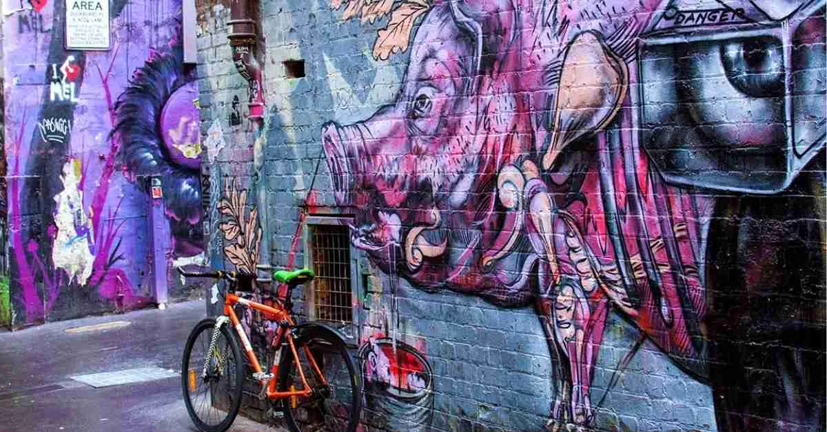 Duckboard Place