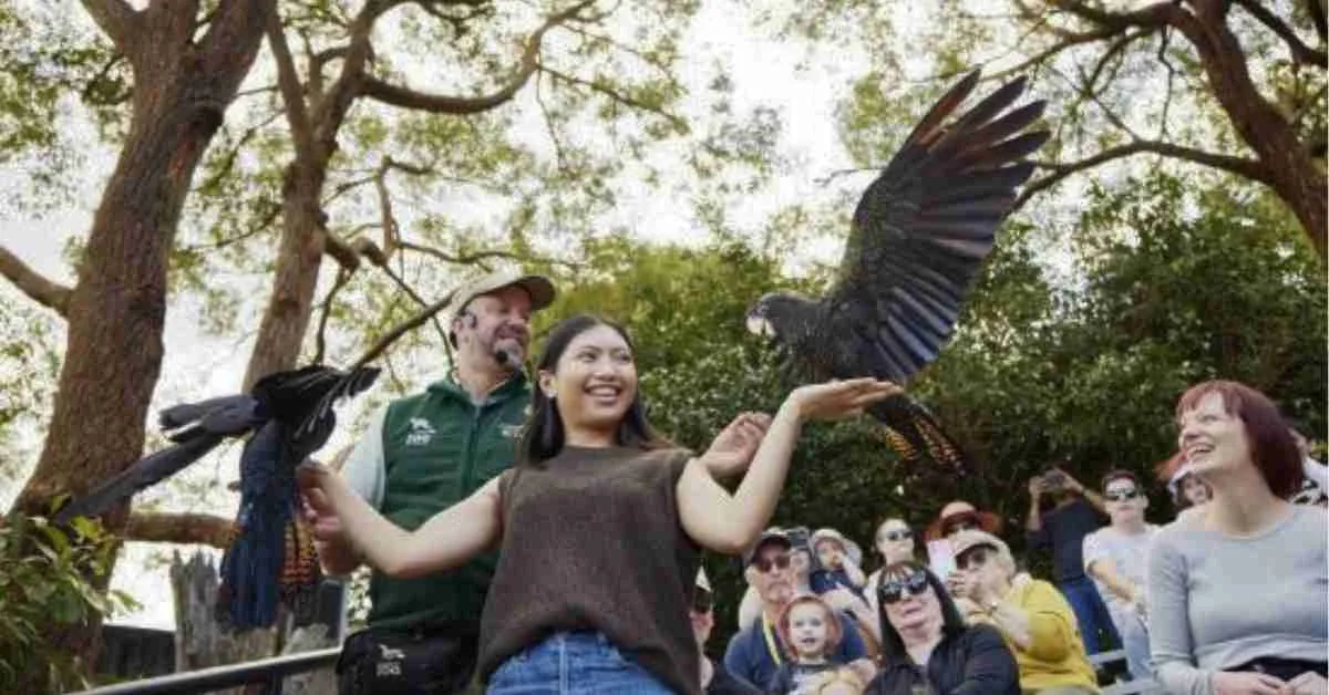 Family-Friendly Activities taronga zoo