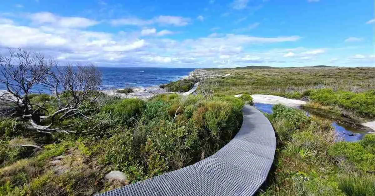Cape Baily Track 