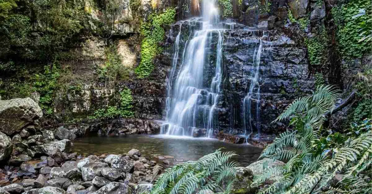 Minnamurra waterfalls in sydney new south wales