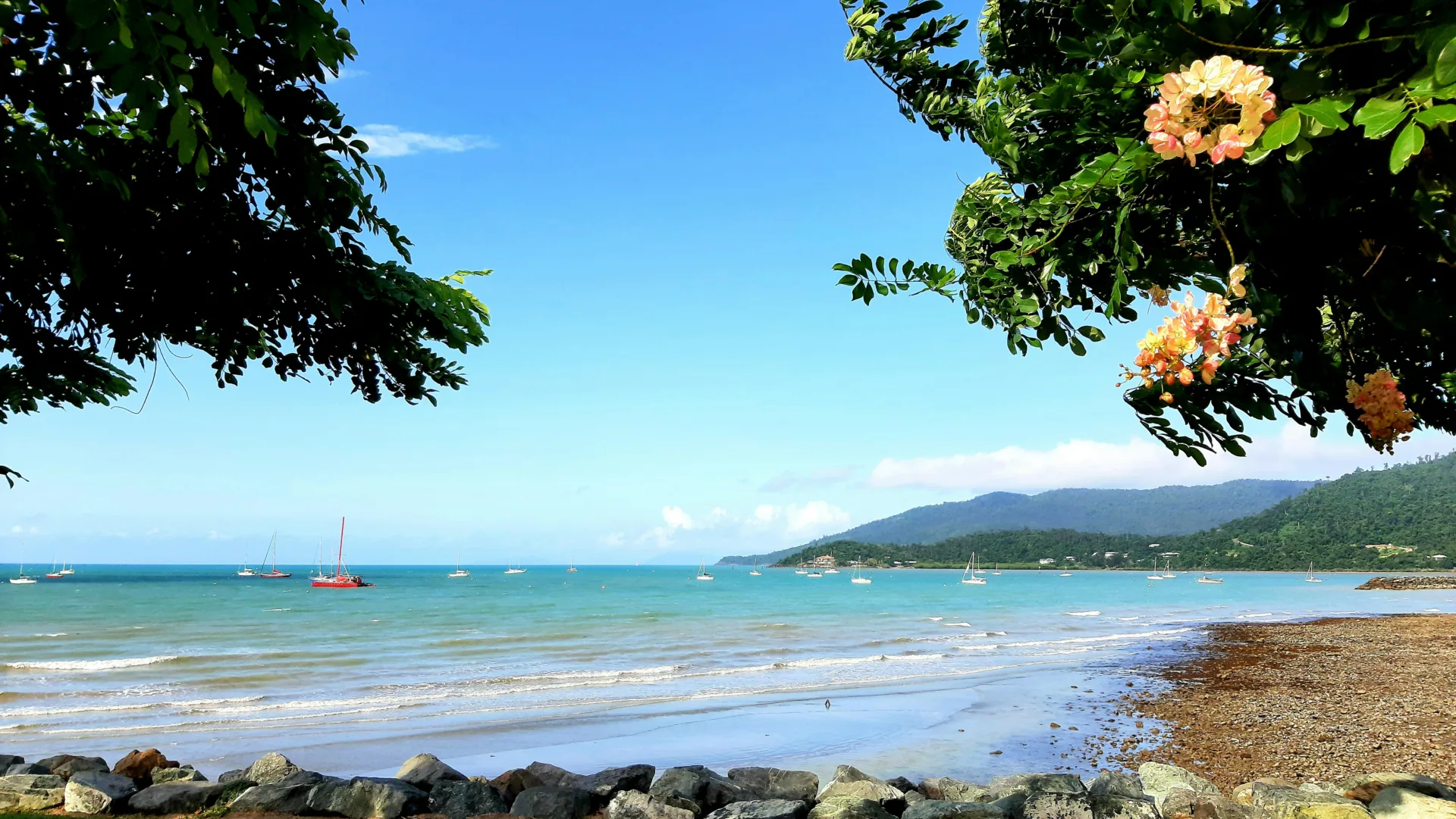 Airlie Beach QLD things to do In airlie beach