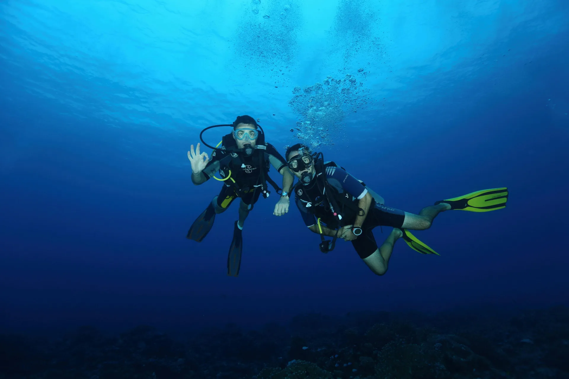 Diving Underwater snorkelling spots in sydney