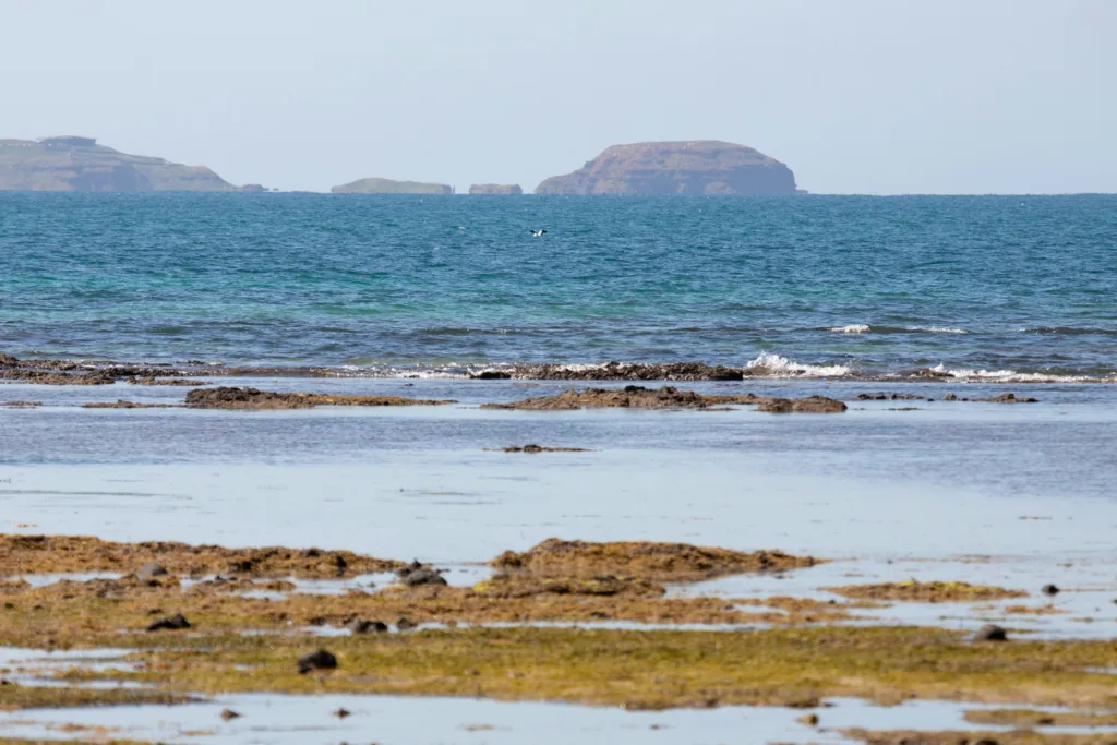 Flinders Island