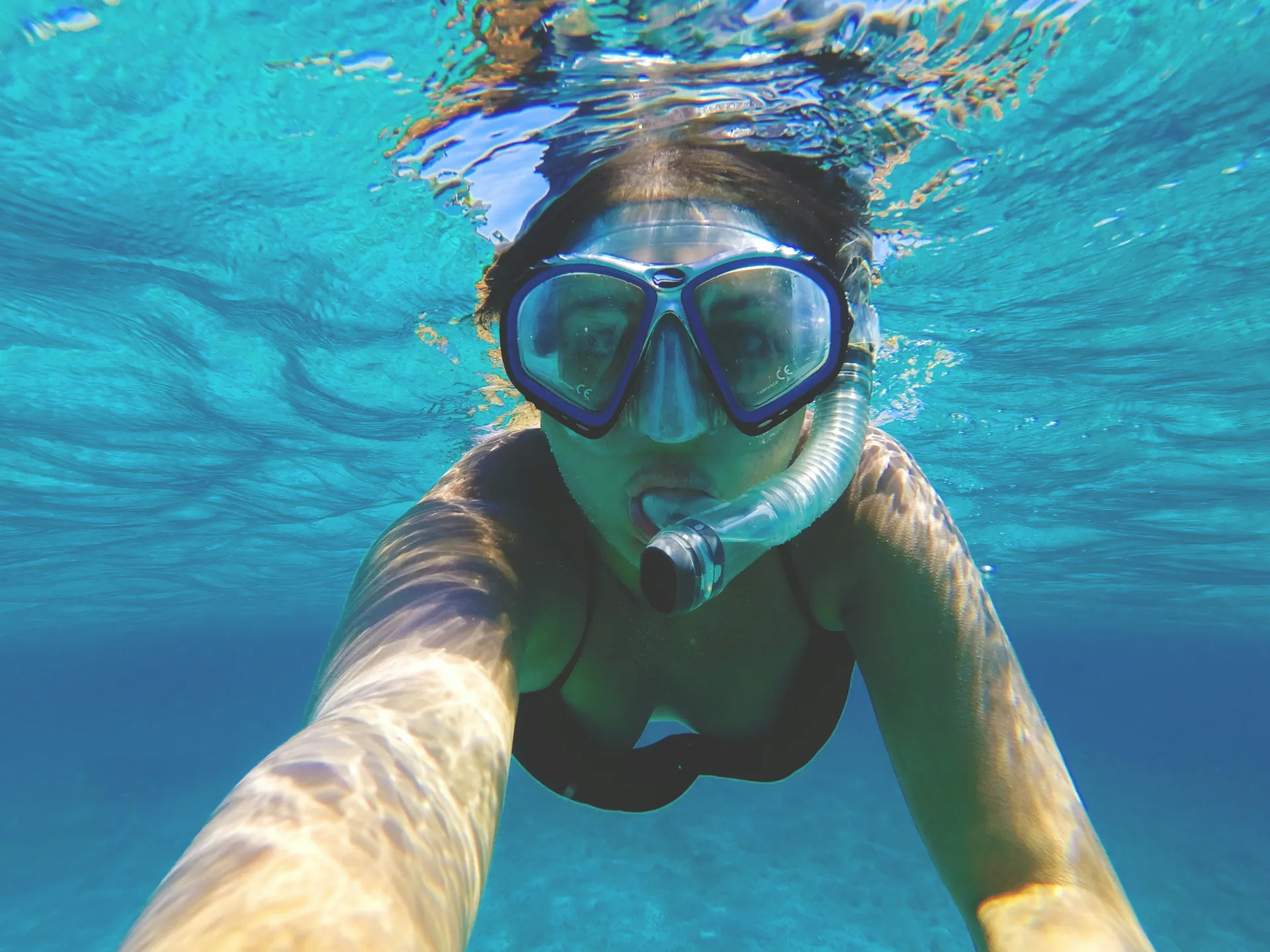 snorkelling in melbourne