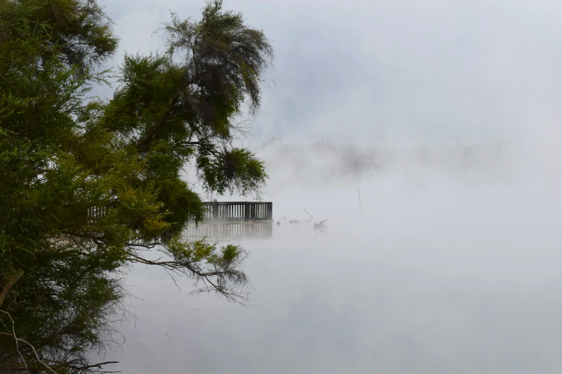 rotorua new zealand