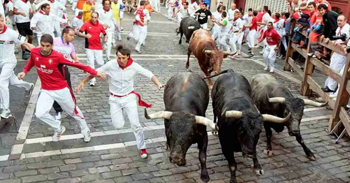 San fermin festival San fermin festival