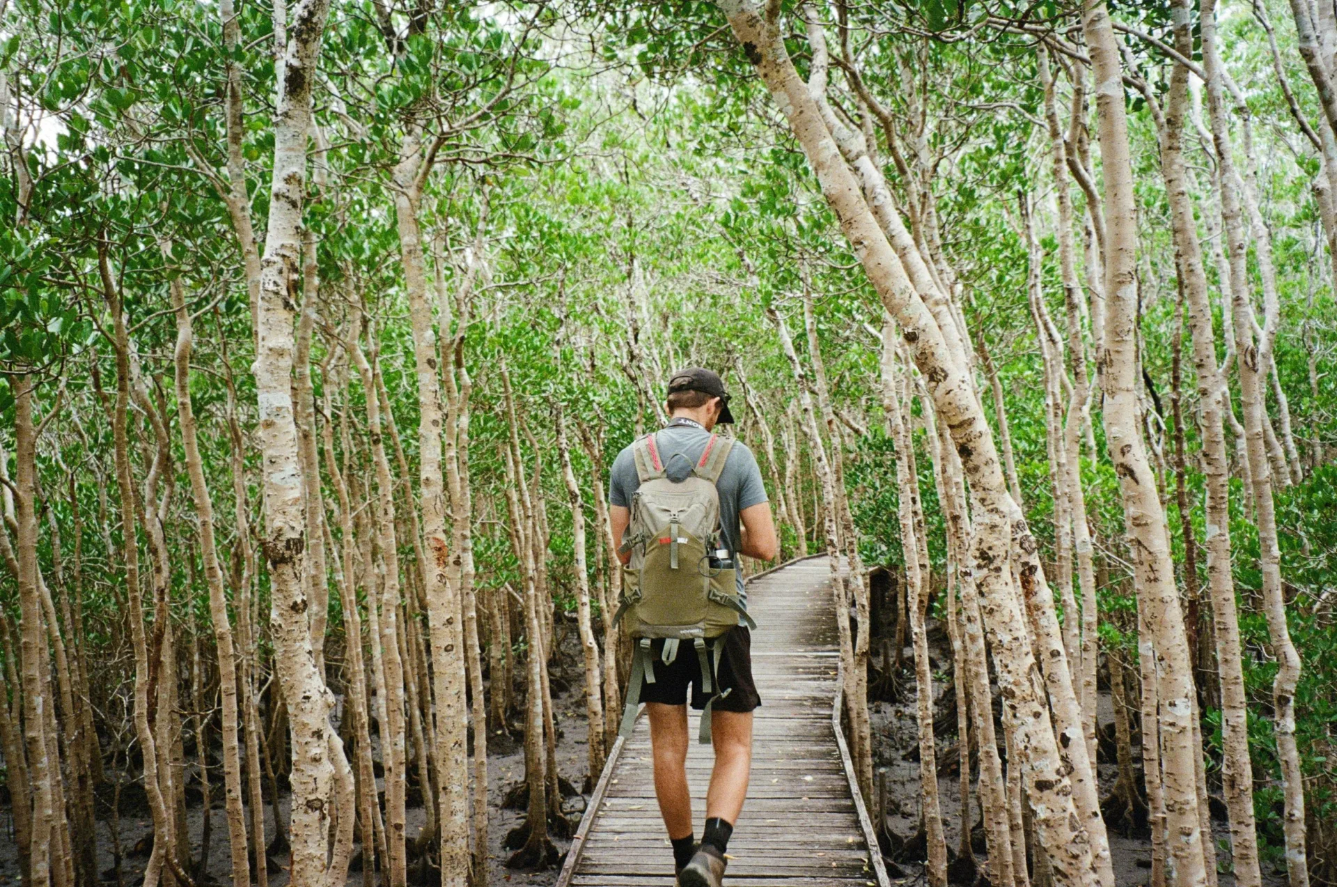 budget-friendly backpacker hostels in cairns