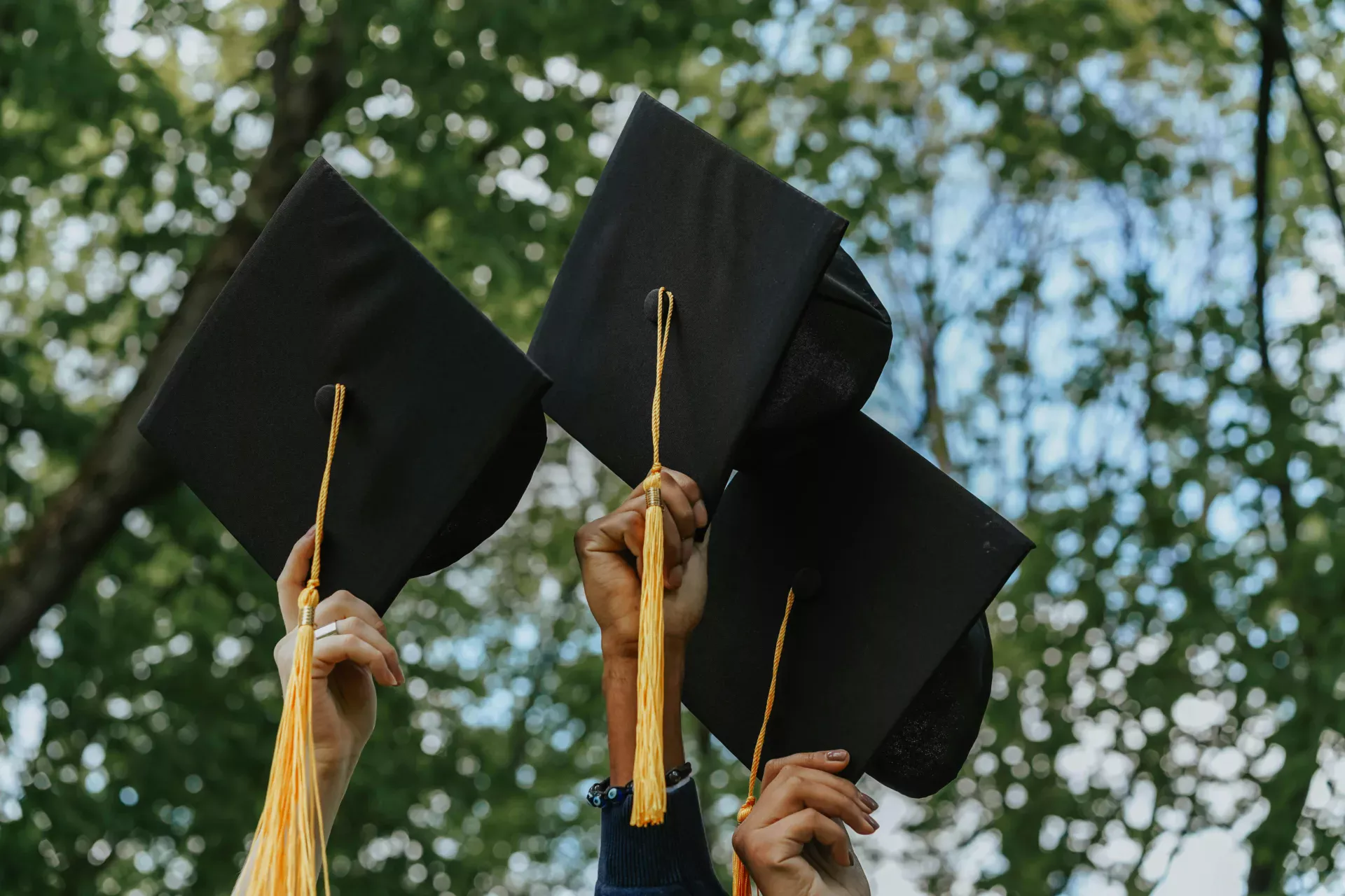 A Group of Person Holding Graduation Cap student visa to australia