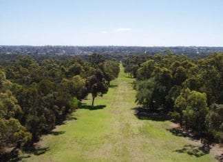 What's On in Kings Park Perth
