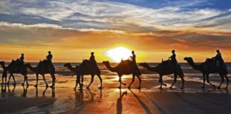 Perth to Broome Tours by Bus